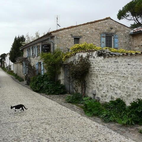 Talmont-sur-Gironde bylo plné romantických uliček.