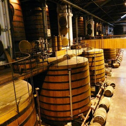 Celkově může být uložené v sudech Martellu až milion litrů brandy.