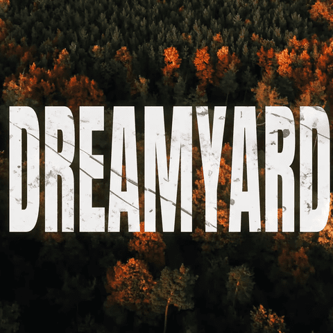 Z filmu Dreamyard