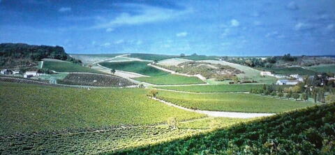 Velká nástěnná fotografie vinic, ze kterých pochází hrozno pro Martell.