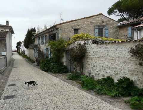 Talmont-sur-Gironde bylo plné romantických uliček.