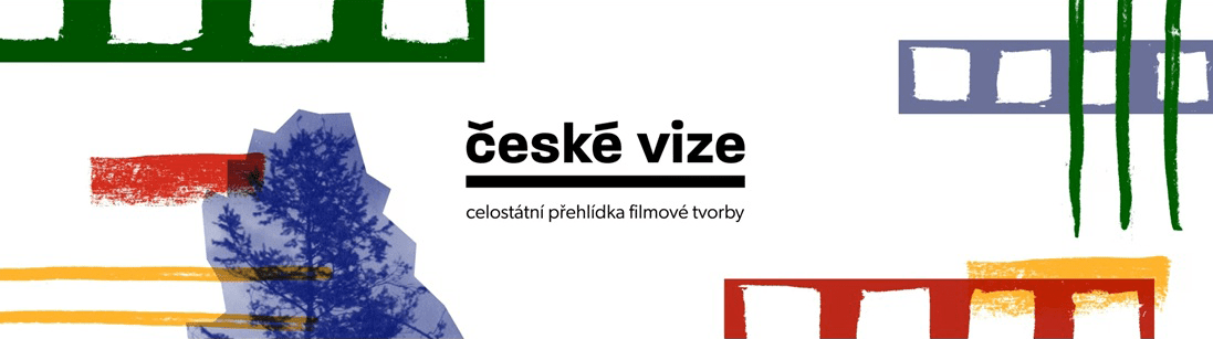 České vize - infografika