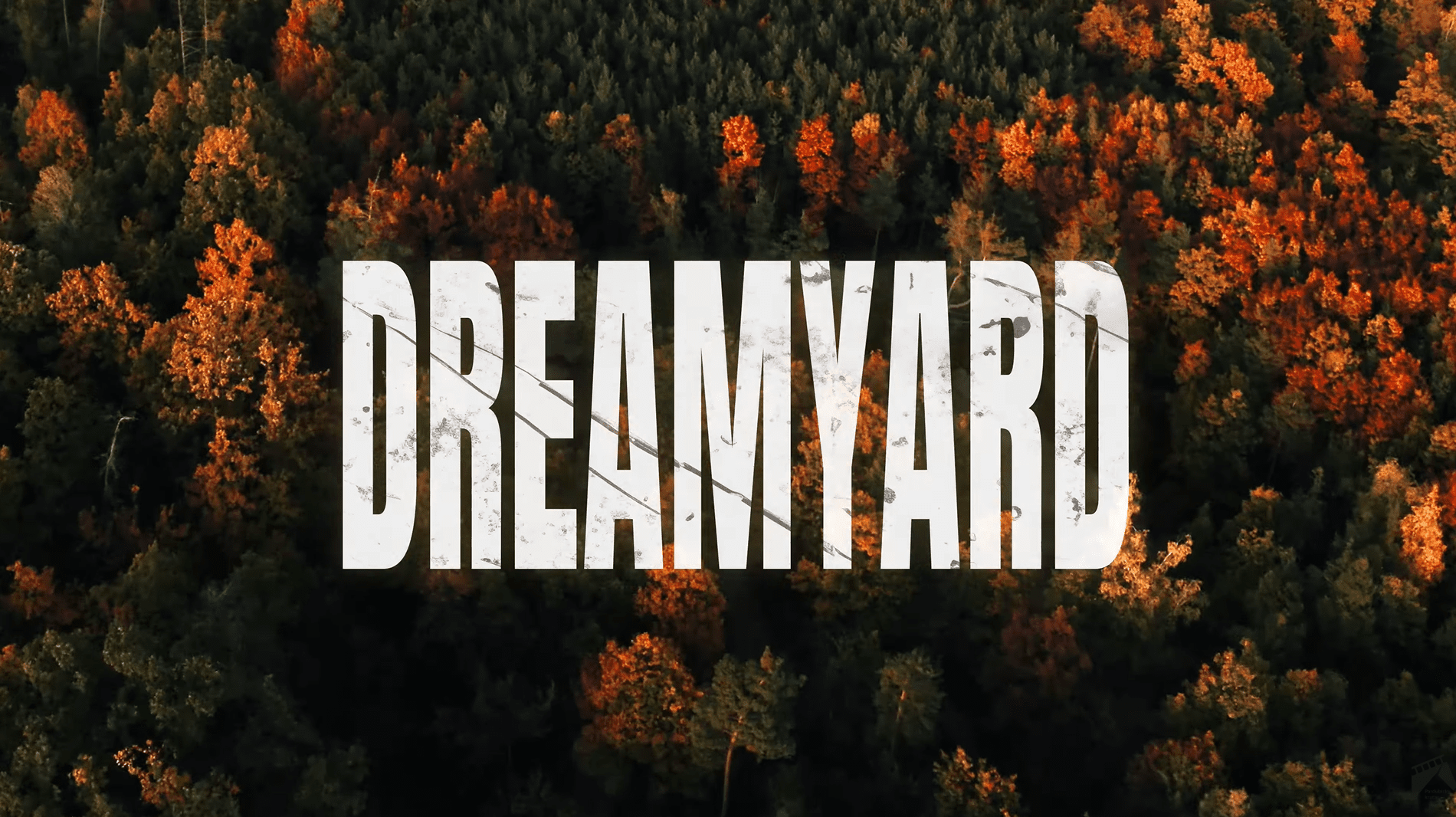 Film Dreamyard